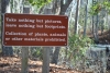 First Landing State Park 
