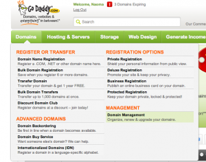 godaddy domain manager