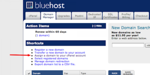 bluehost domain assignement
