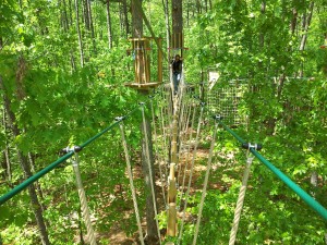 go ape williamsburg