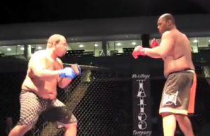 jones vs stith spartyka