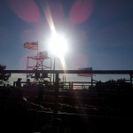 2012 Khedive Rodeo 2012 Khedive Rodeo