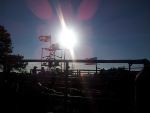 2012 khedive rodeo