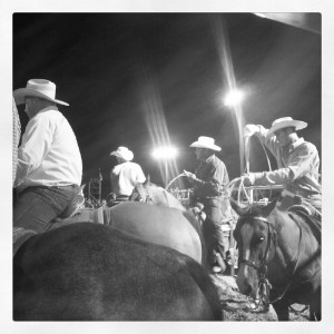 khedive rodeo cowboys