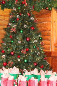 2012 busch gardens christmas town social media