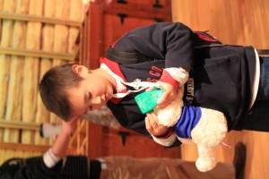 hunter doriguzzi busch gardens christmastown