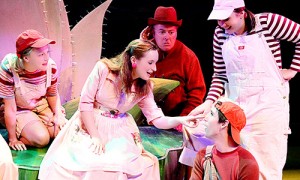 The three Little Pigs photo