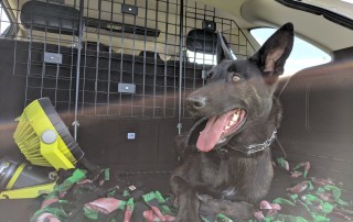 midwest pet barrier ford edge